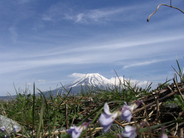 IMG_2286.JPG