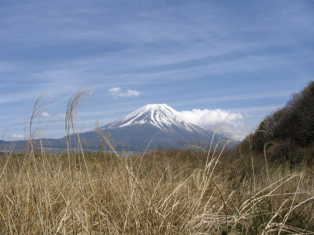 IMG_2338.JPG