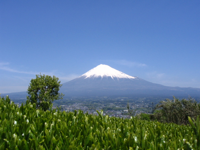 富士山の壁紙 ４月